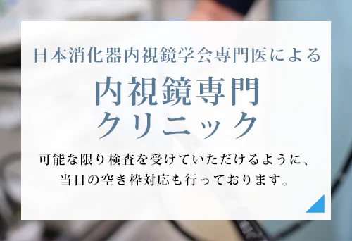 日本消化器内視鏡学会専門医による内視鏡検査クリニック